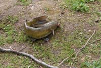 20_catfish.jpg